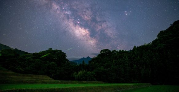 令和8年度「ほたるオーナーズクラブ」募集