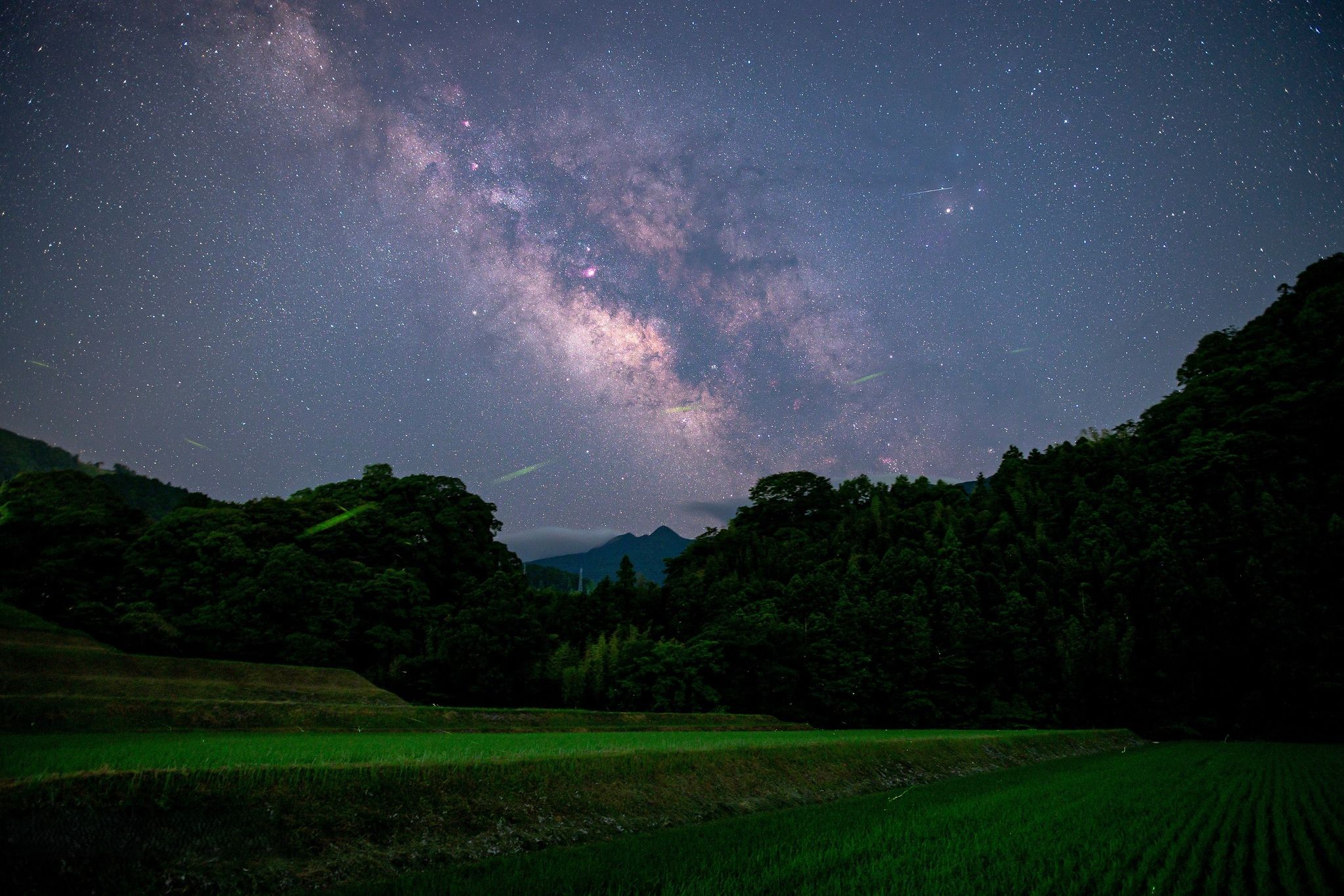 株式会社 穂田琉（ほたる）